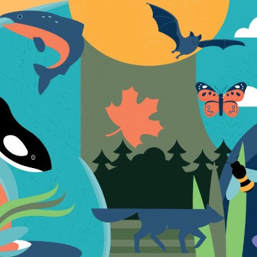 UBC Biodiversity Days 2025 graphic and logo