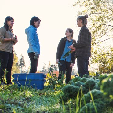 Four people talking while standing in a large garden on a sunny day