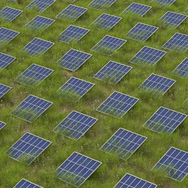 Field of solar panels