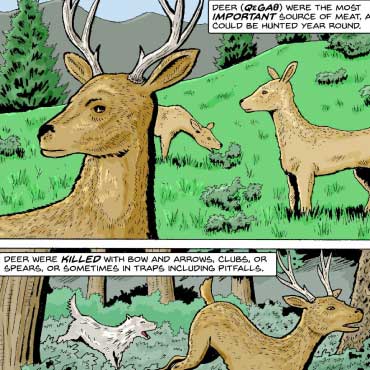 This image is a page from a graphic novel, depicting a scene of traditional hunting methods used by Homalco First Nations people. The page consists of two main panels. In the top panel, two deer are shown grazing in a lush, green field with mountains in the background. The bottom panel shows a more action-oriented scene where a hunter, dressed in traditional clothing, is using a bow and arrow to shoot a deer while a white dog chases the deer towards the hunter.