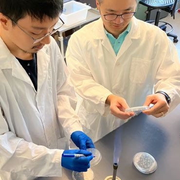 Doctoral student Yi Chu Liang and assistant professor Dr. Jim Sun working in the lab