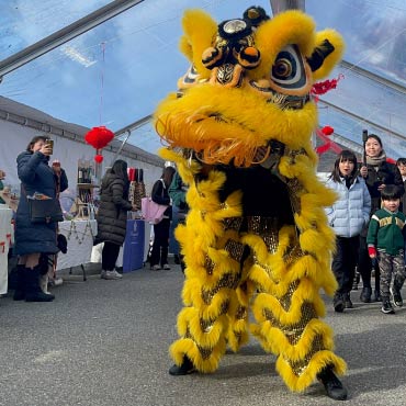 Lion dancing at UBC botanical garden celebrating lunar new year