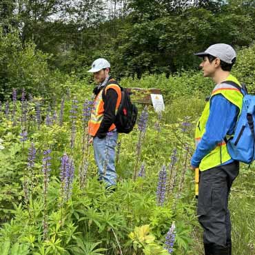 Researchers observing nature